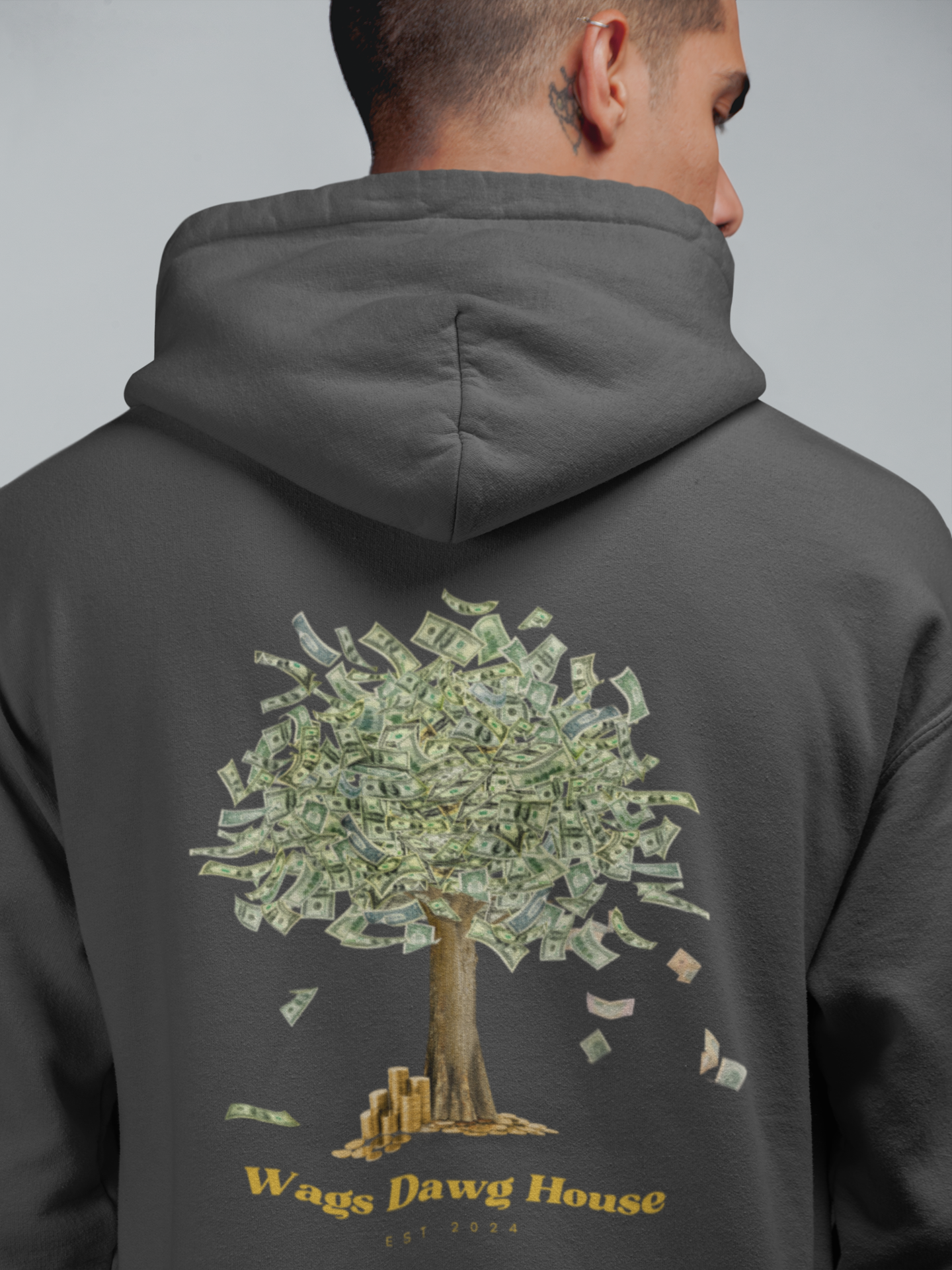 Money hoodie