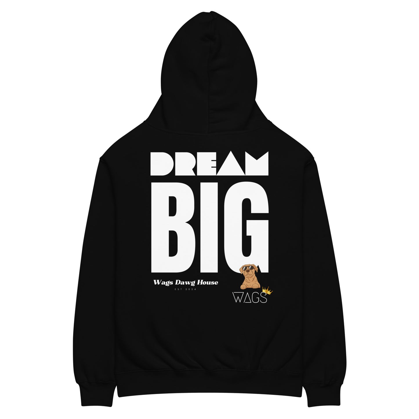 Dream Big hoodie